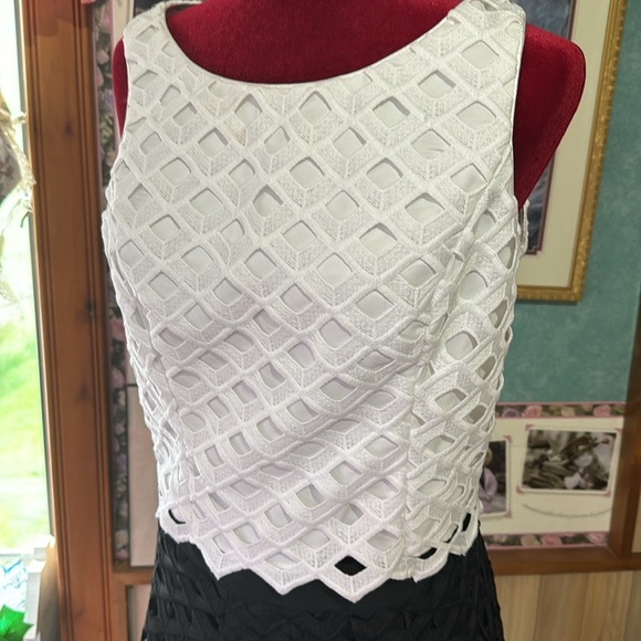 NWT 2 piece skirt /blouse dress White House black market - Picture 8 of 13